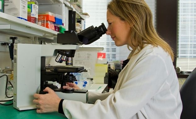 A lab expert examining a biopsy specimen