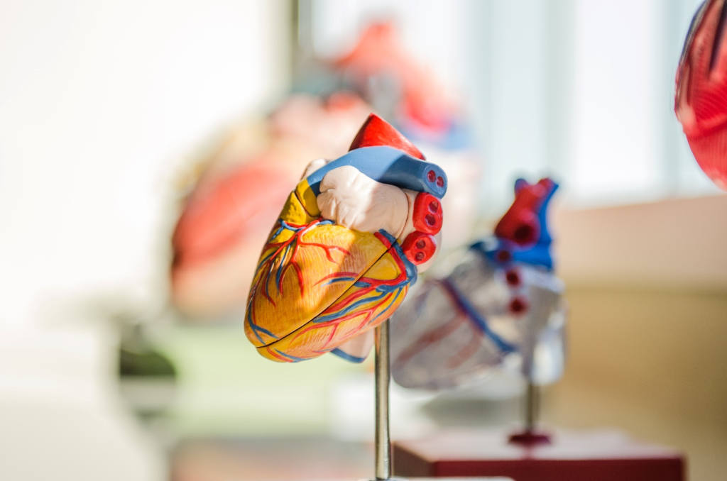 heart-statues-next-to-a-window