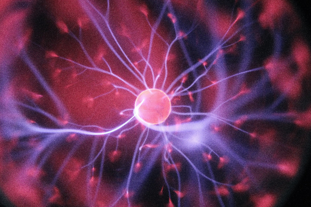 Brain Health